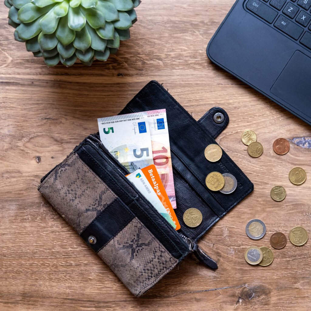 snel extra geld verdienen