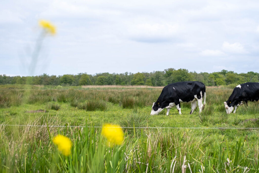 investeren landbouwgrond