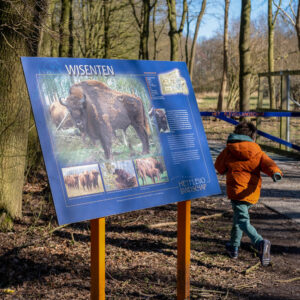 gratis uitjes Lelystad